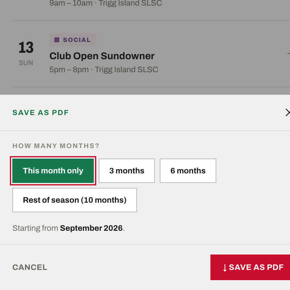The Save as PDF panel asking how many months